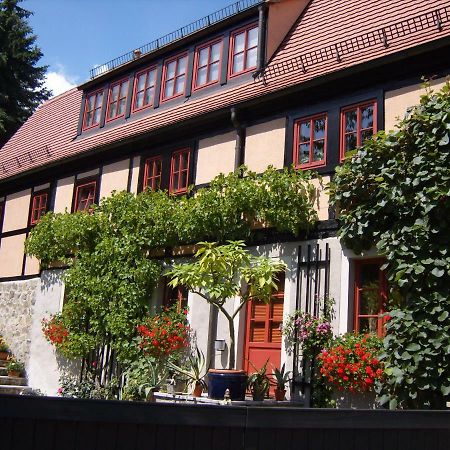 Winzerhaus Rissweg 15 Villa Dresden Exteriör bild